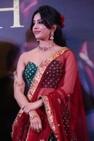 Nabha Natesh at Swayambhu Teaser Launch
